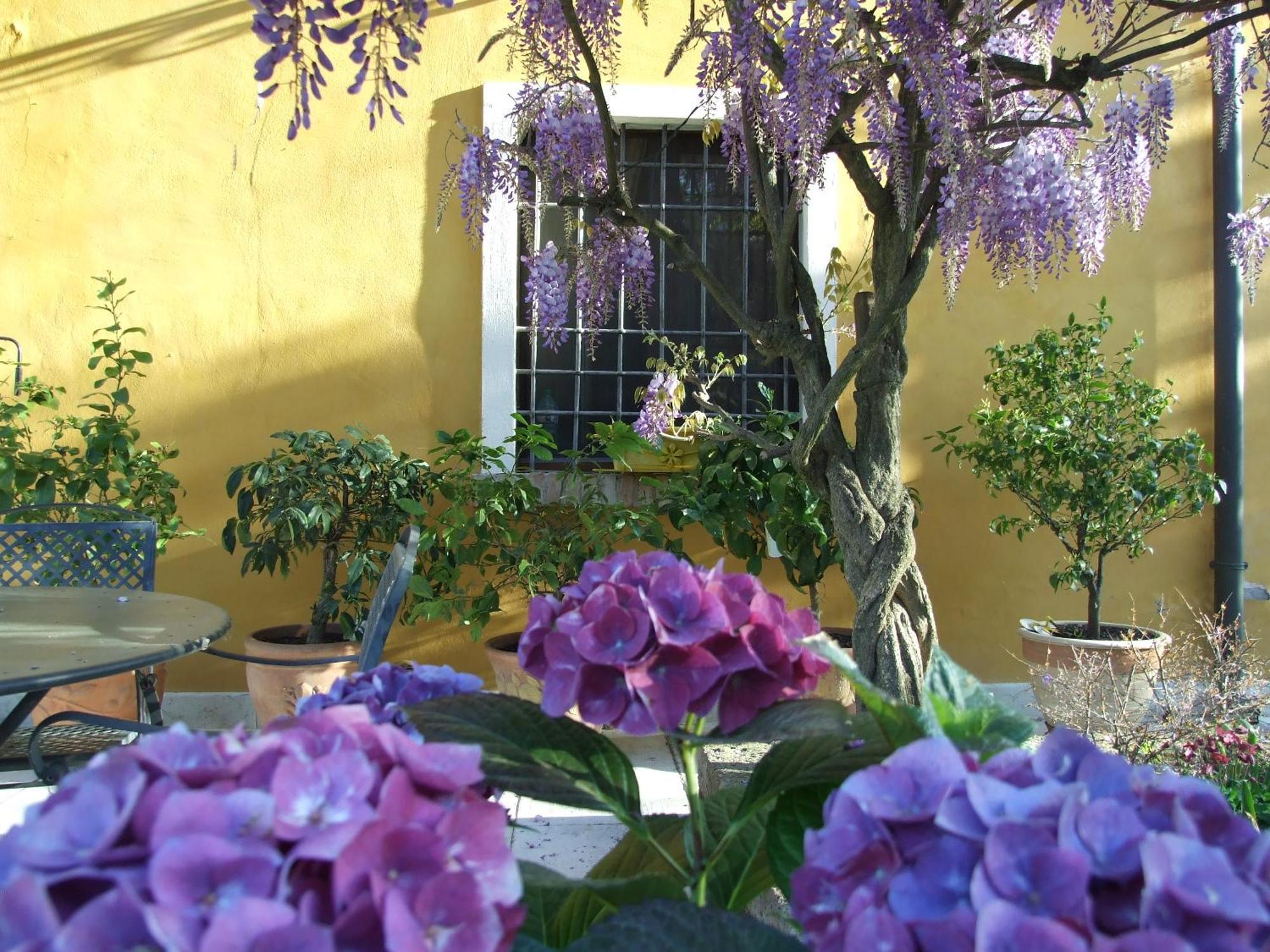 مونزامبانو B&B Casacasina المظهر الخارجي الصورة
