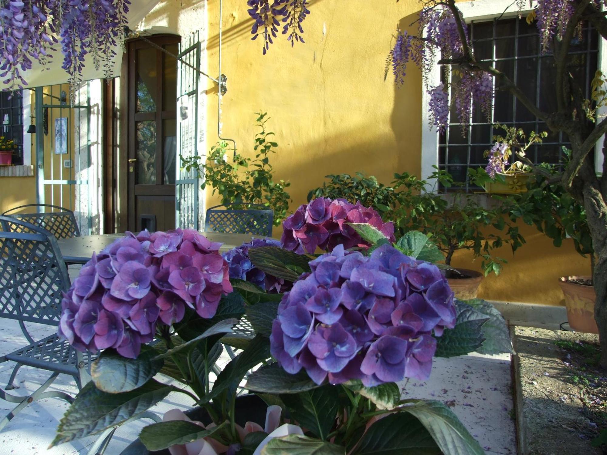 مونزامبانو B&B Casacasina المظهر الخارجي الصورة
