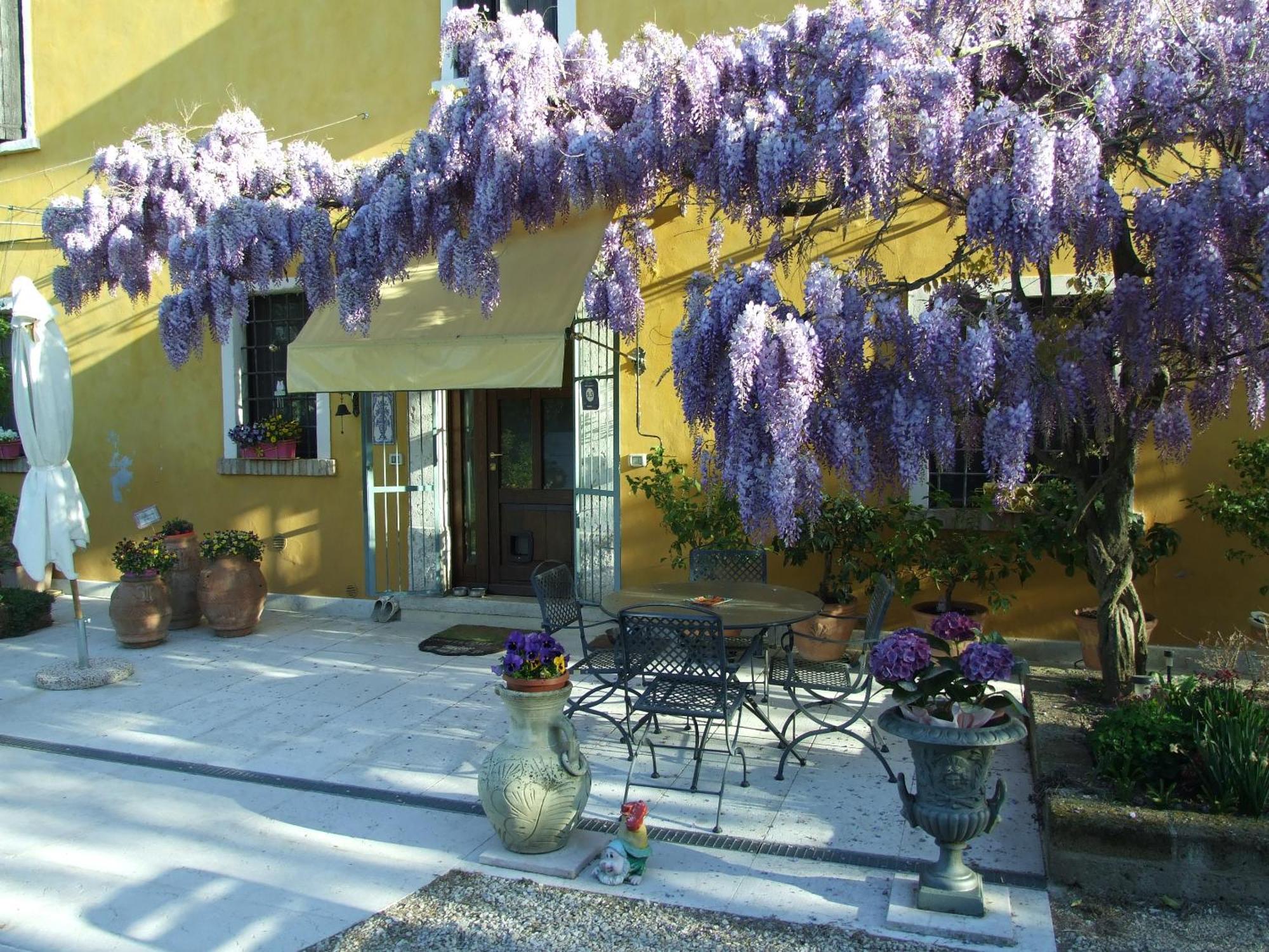 مونزامبانو B&B Casacasina المظهر الخارجي الصورة