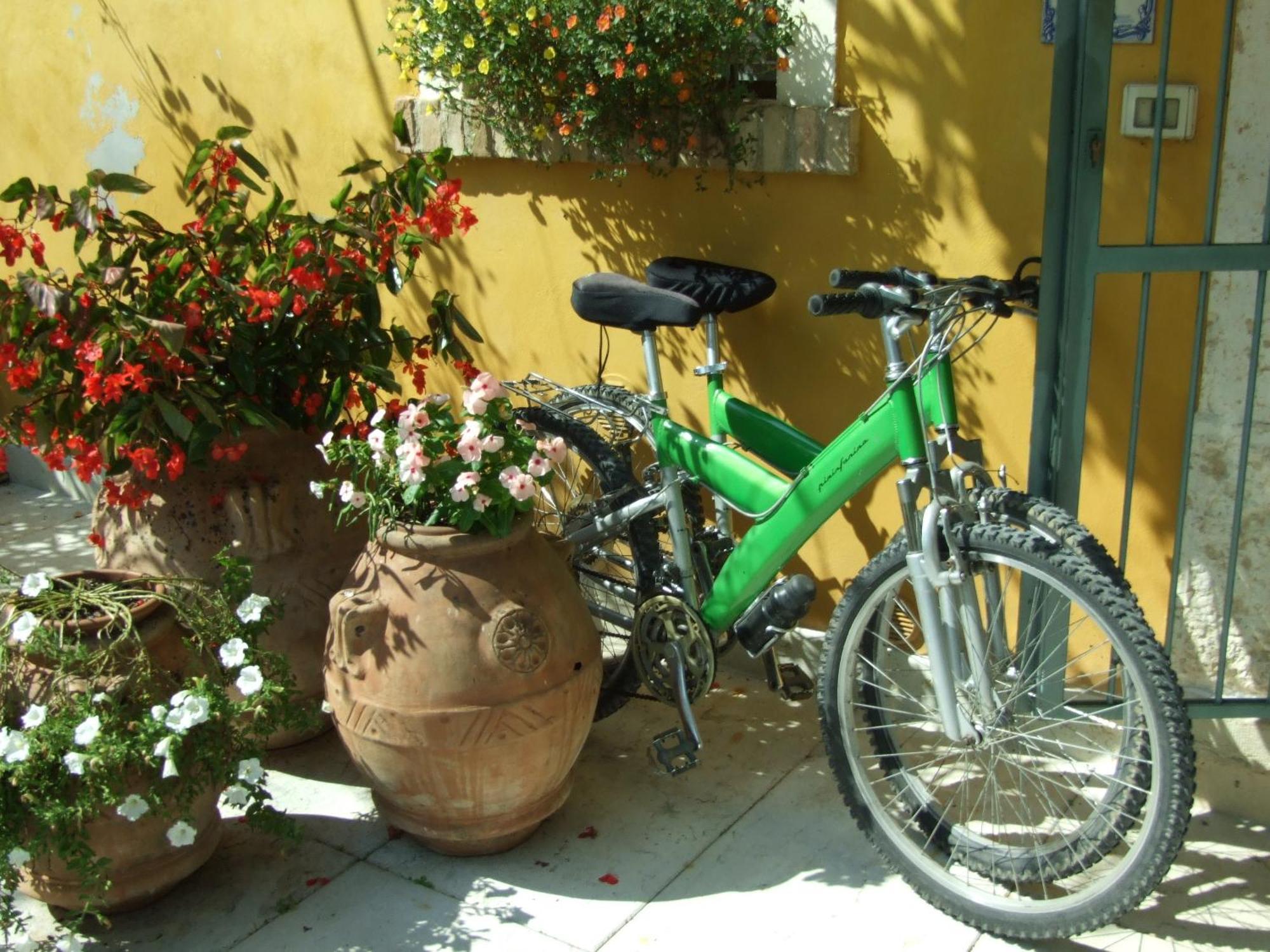 مونزامبانو B&B Casacasina المظهر الخارجي الصورة